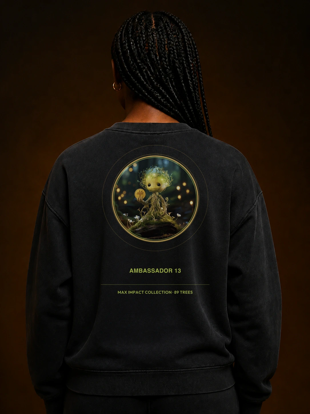 Rootlight Guardian 13 Organic Raglan Sweatshirt product preview, back view