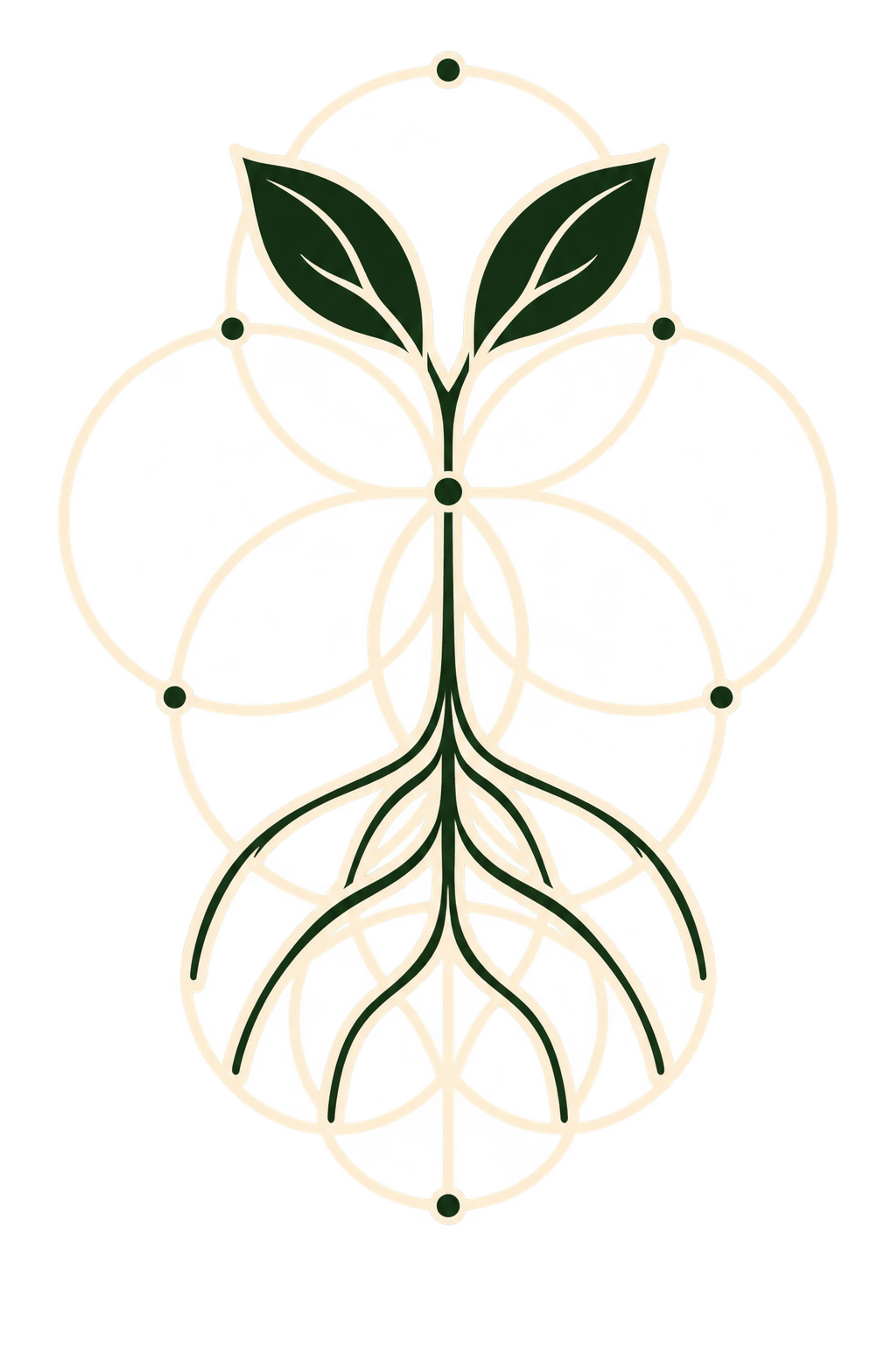 Mangrove sapling formed from vesica piscis and Seed of Life geometry